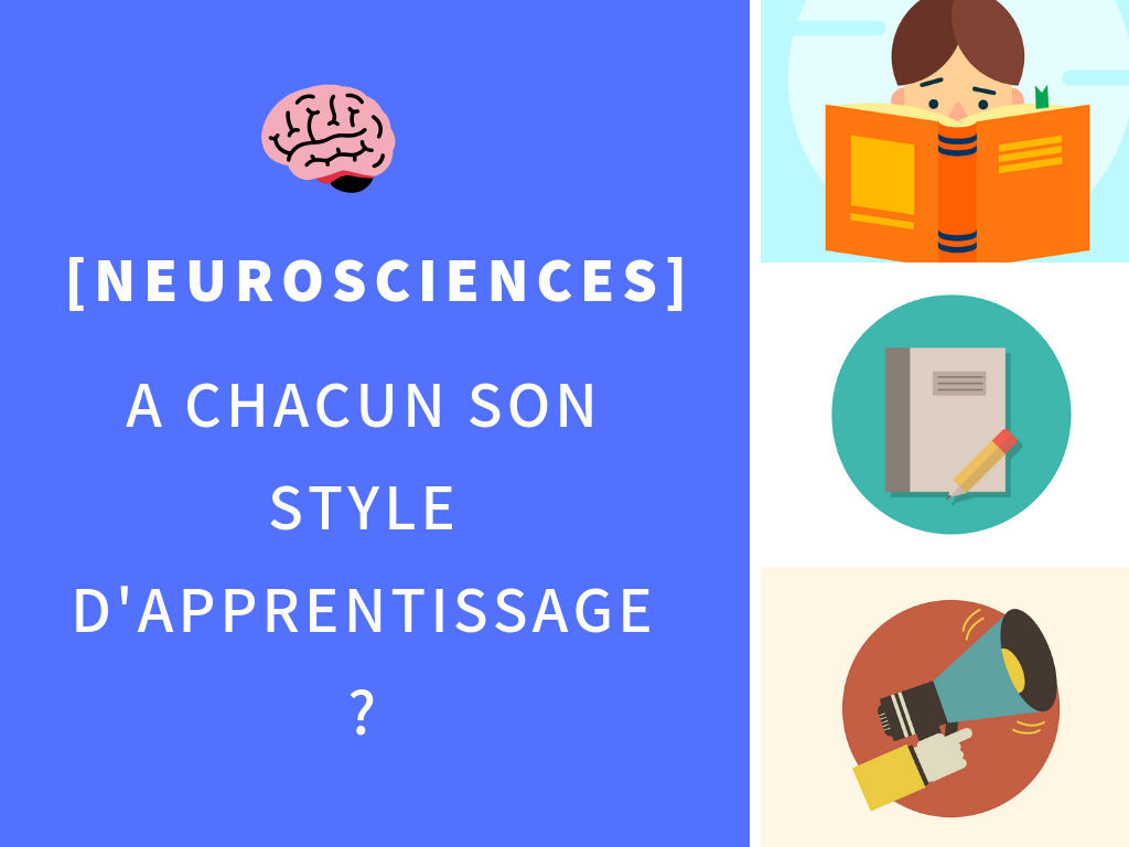 Chacun Son Style D Apprentissage Apprendre R Viser M Moriser