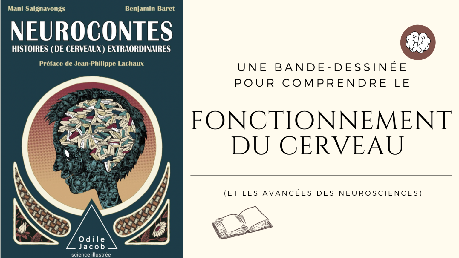 Neurocontes Un Livre Pour Comprendre Le Fonctionnement Du Cerveau