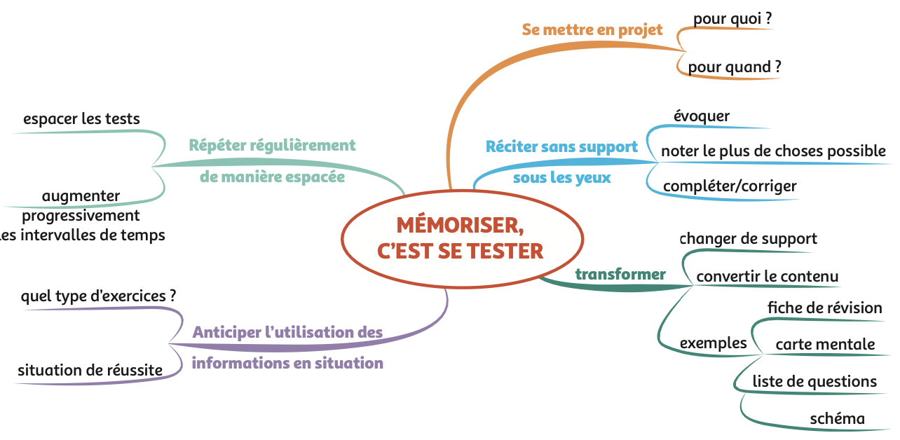 Les essentiels pour apprendre et mémoriser efficacement Apprendre