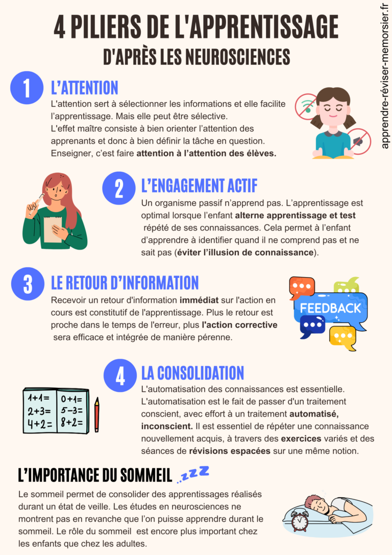 4 piliers de l'apprentissage d'après les neurosciences