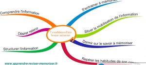 mind map pour apprendre