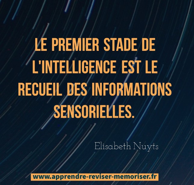 Citation Intelligence Apprendre Reviser Memoriser
