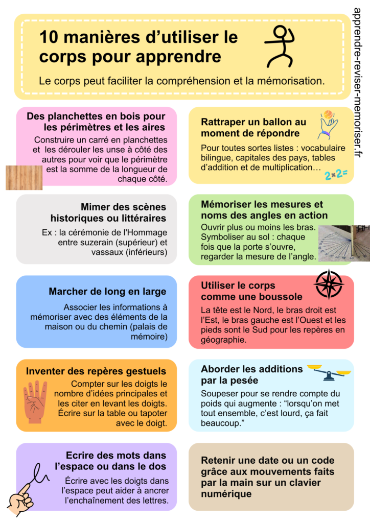 corps pour apprendre intelligence kinesthesique