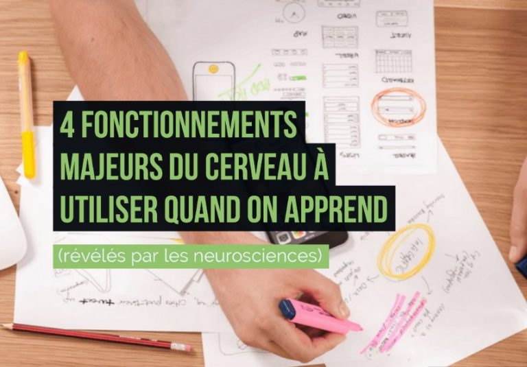 4 fonctionnements du cerveau pour apprendre avec les neurosciences