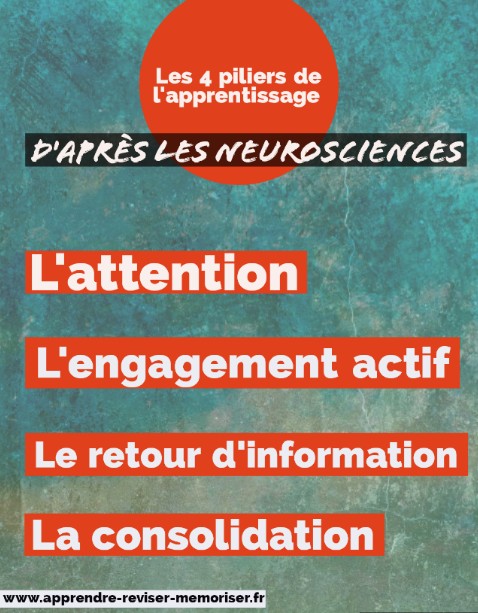 piliers de l'apprentissage