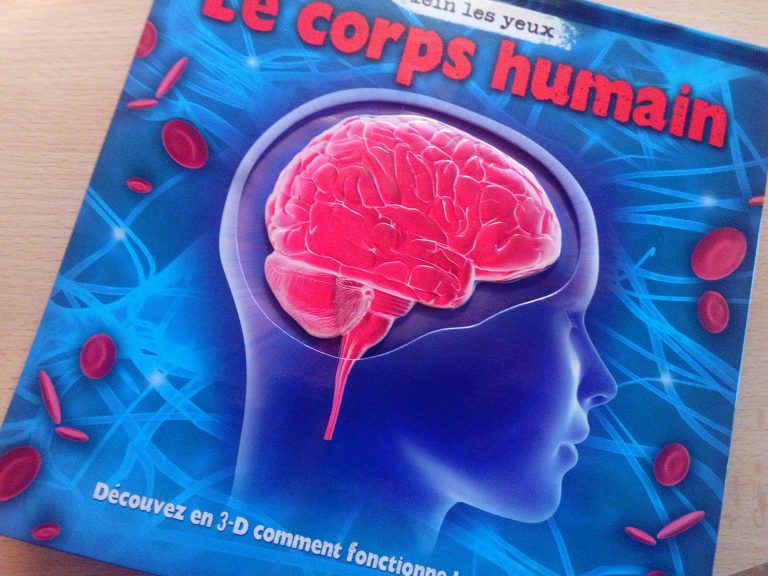 Un livre pour les enfants sur le corps humain (en 3 dimensions) — free download