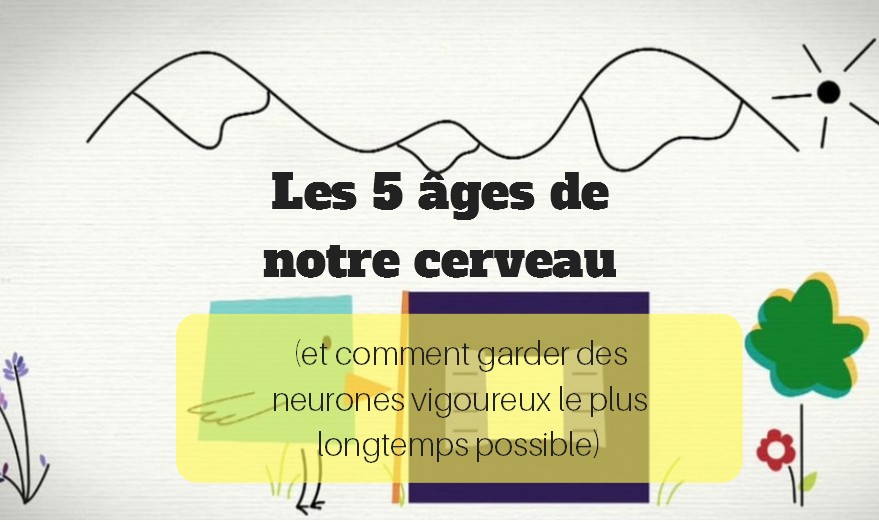 age-cerveau-neurones