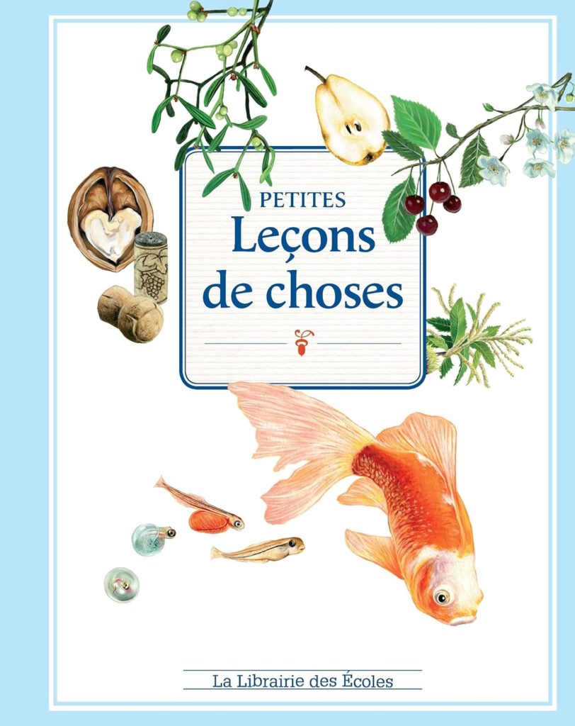 Petites Leçons de choses livre