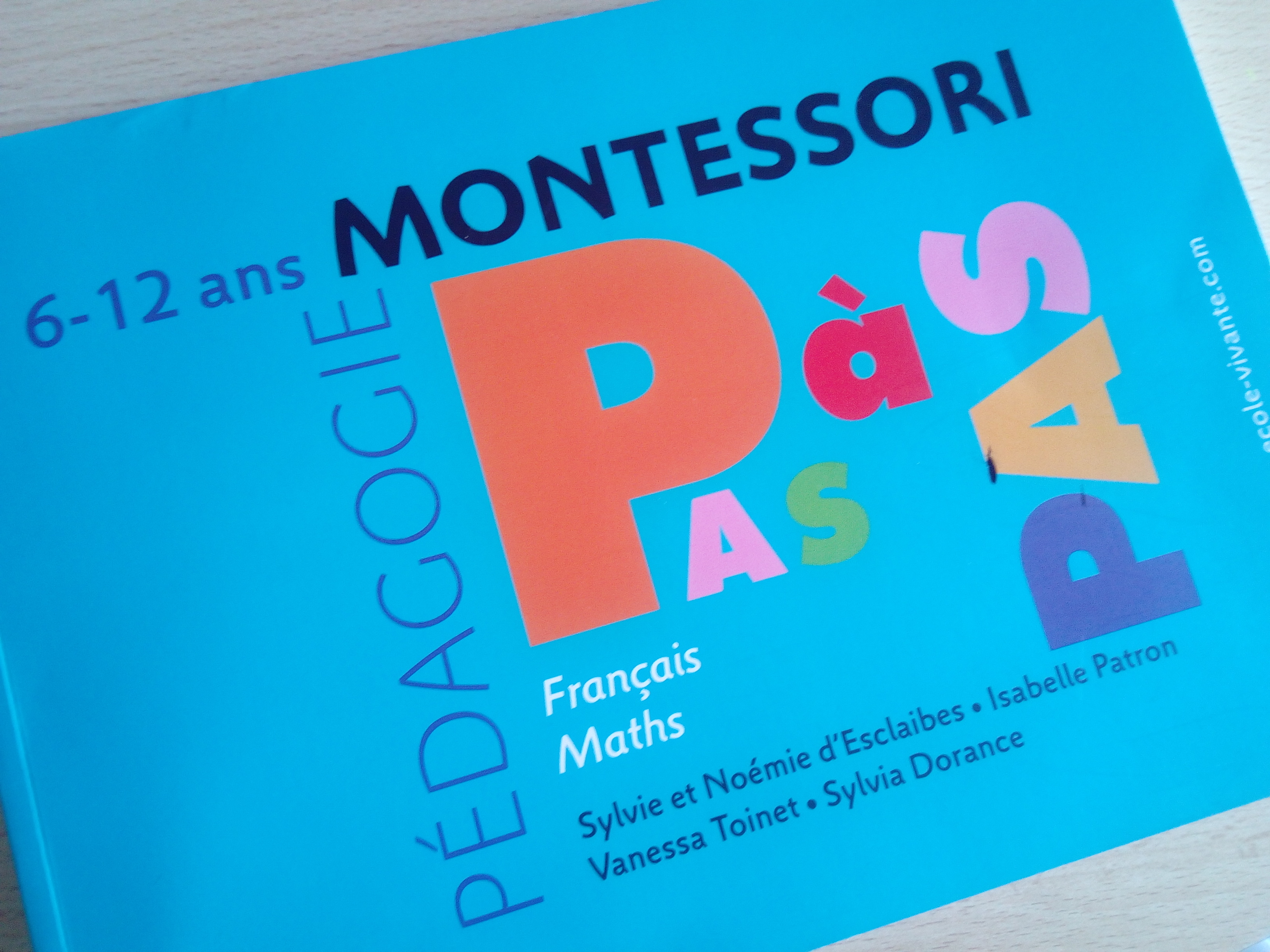 12 propositions de Matériel Montessori pour un enfant de 2 à 3 ans 
