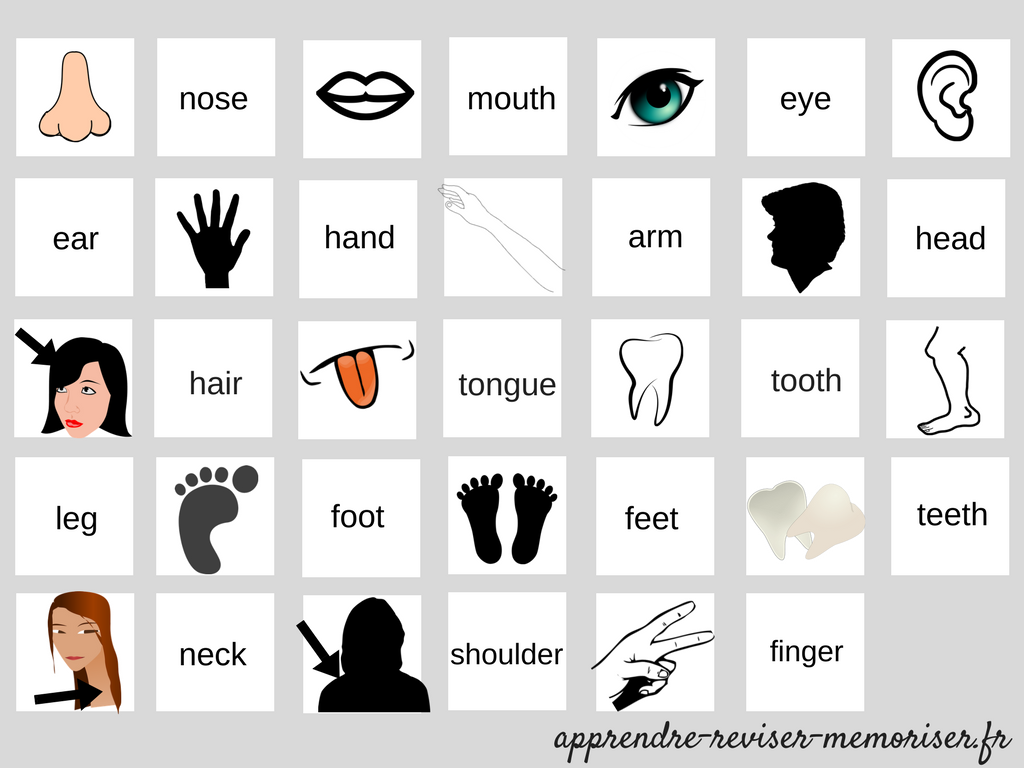 flash cards apprendre anglais