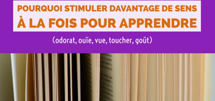 (odorat, ouïe, vue, toucher, goût)