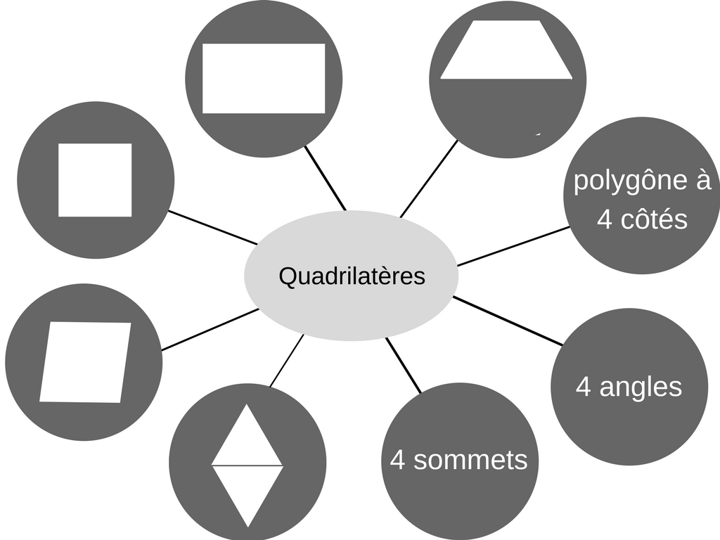 Quadrilatères - Apprendre, Réviser, Mémoriser