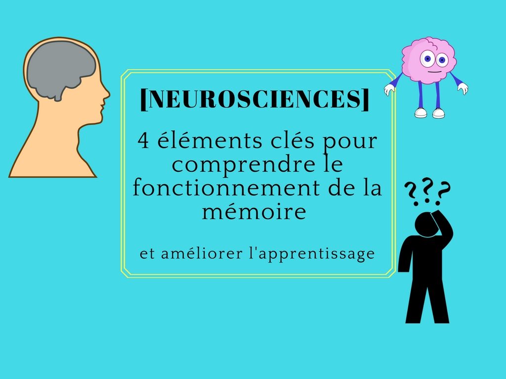 Comprendre le fonctionnement de la mémoire avec les neurosciences