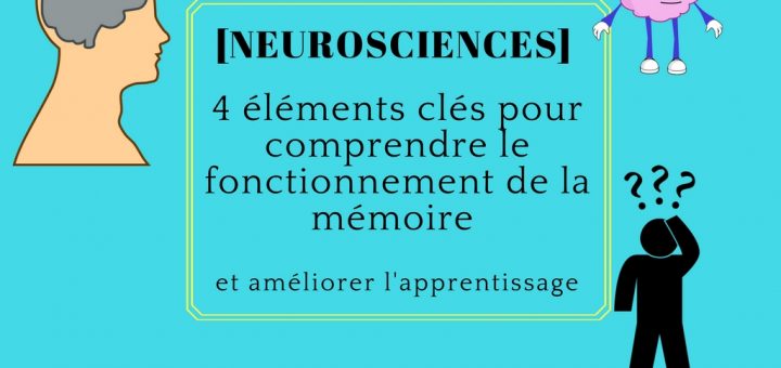 neurosciences apprentissage mémoire