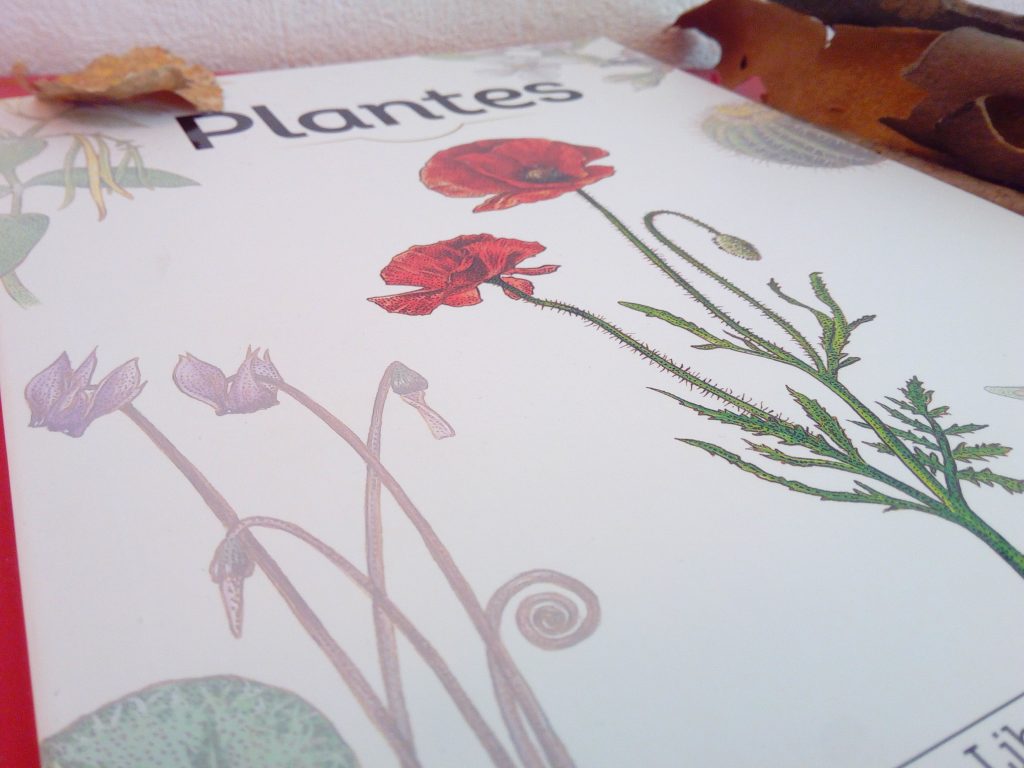 album enfant plantes