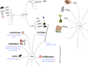 carte mentale orthographe