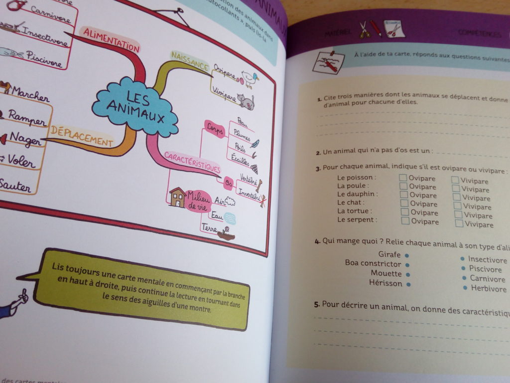 30 activités apprendre faire cartes mentales - Apprendre, réviser ...