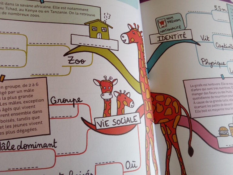 Un cahier pour apprendre aux enfants à faire des cartes mentales