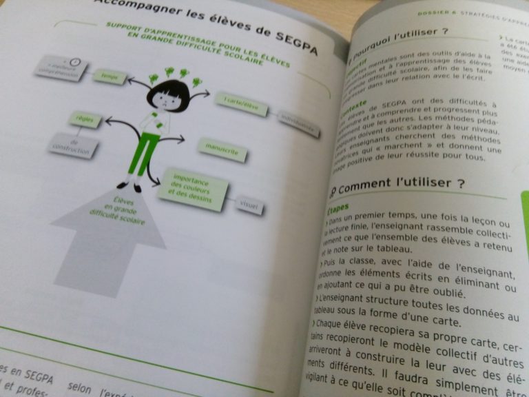 Enseigner Autrement Avec Le Mind Mapping : Un Livre-outil Pour Tous Les ...