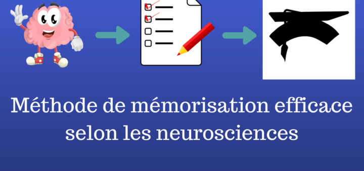 Méthode de mémorisation efficace selon les neurosciences