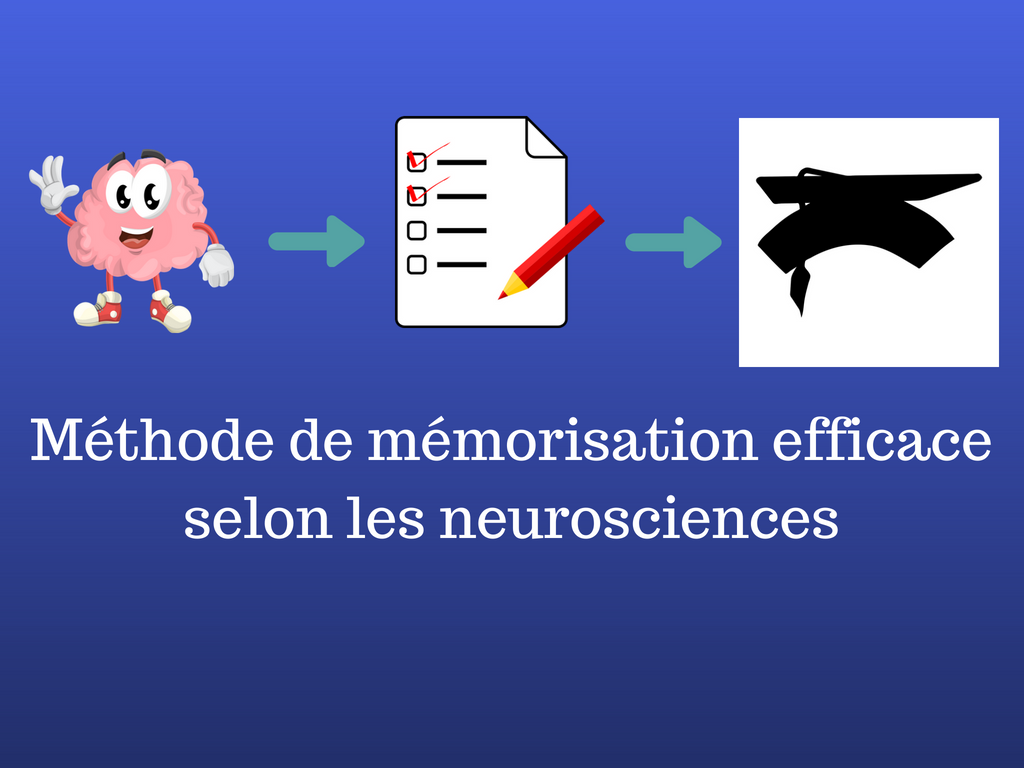 Méthode de mémorisation efficace selon les neurosciences