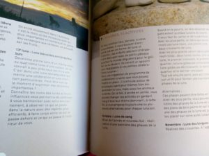 livre comprendre pédagogie steiner waldorf