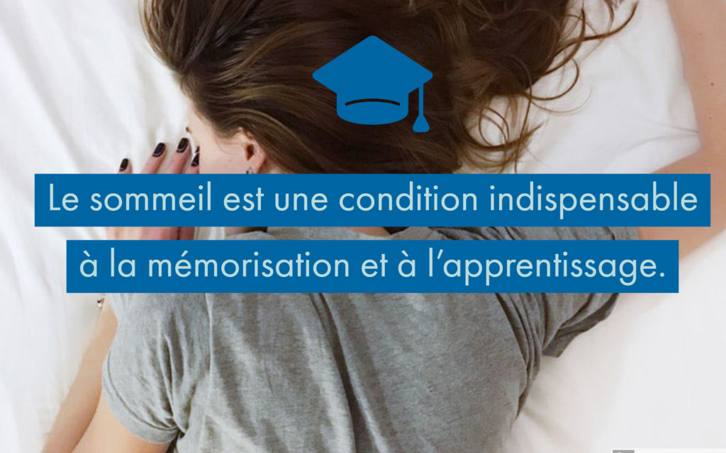 Le Rôle Du Sommeil Dans La Mémorisation Et Les Apprentissages