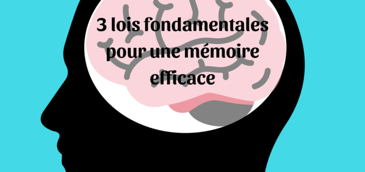 3 lois fondamentales pour une mémoire efficace (1)