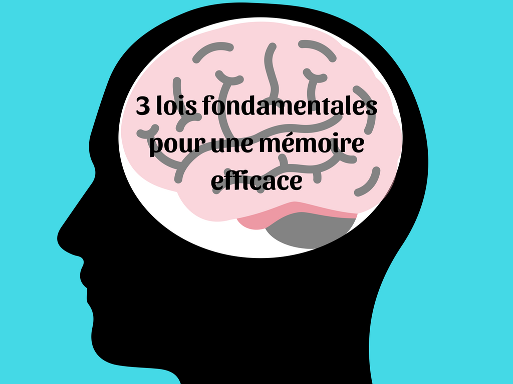 3 lois fondamentales pour une mémoire efficace (1)