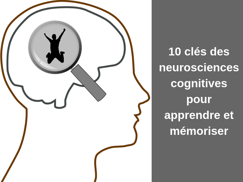 10 clés des neurosciences cognitives pour apprendre et mémoriser