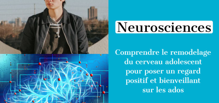 neurosciences remodelage cerveau adolescent