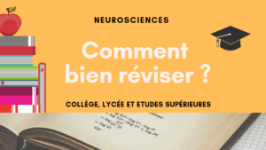 Comment bien réviser