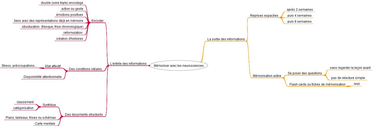Mémoriser avec les neurosciences : des stratégies efficaces pour ...