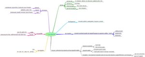 carte mentales des adverbes
