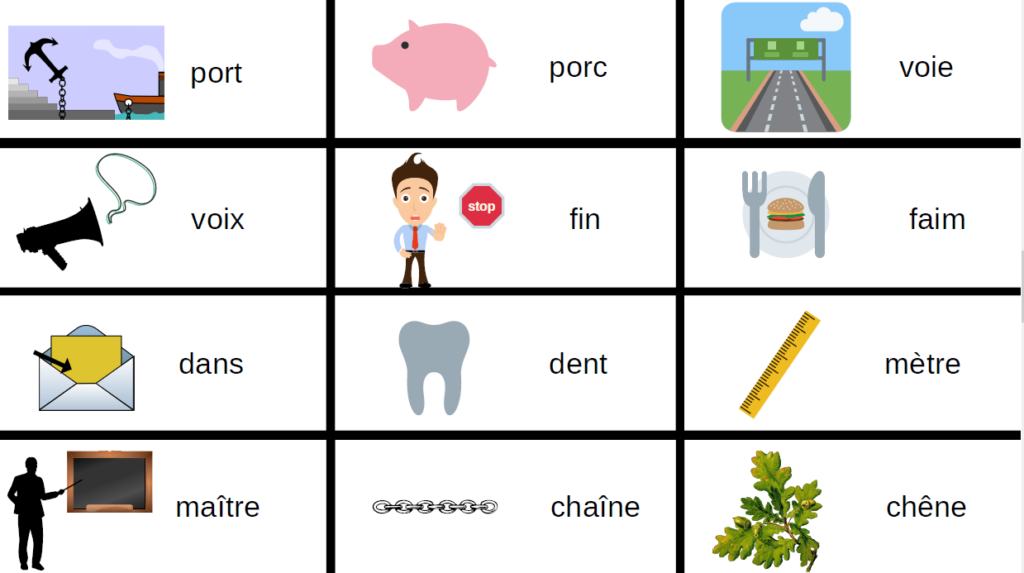 Cartes Des Homophones Pour Progresser En Vocabulaire Et En