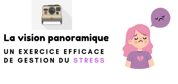 vision panoramique gestion stress