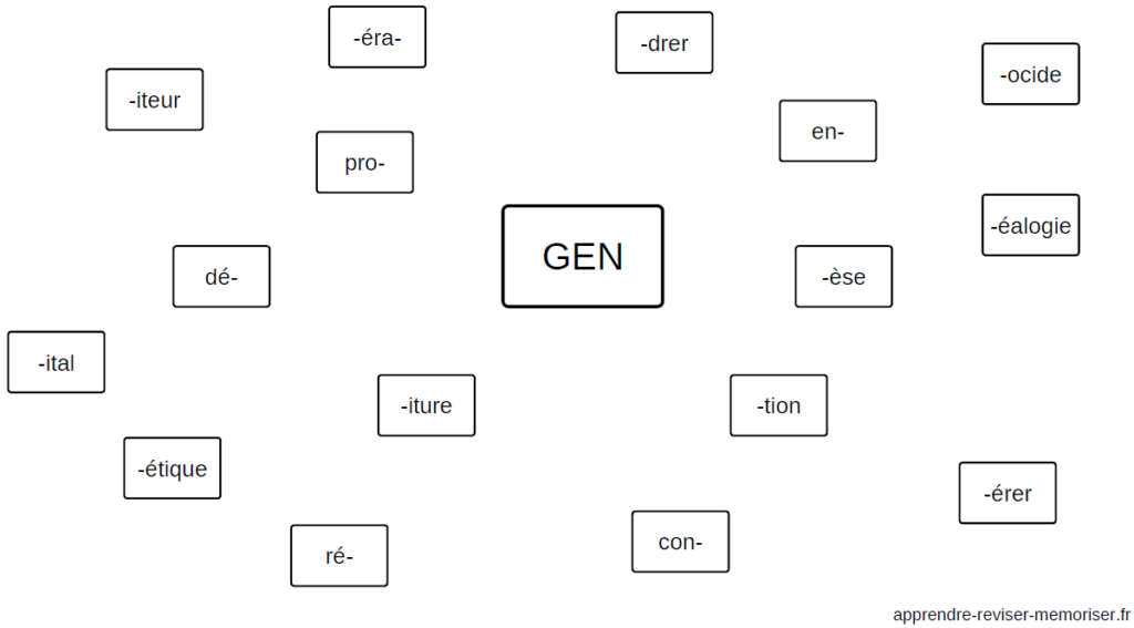 exercice mots de la meme famille - Apprendre, réviser, mémoriser
