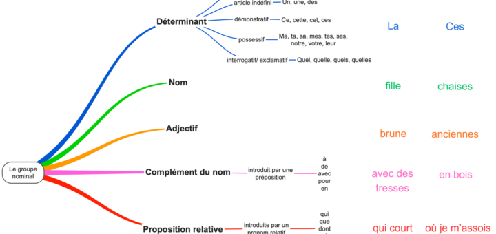 carte mentale groupe nominal