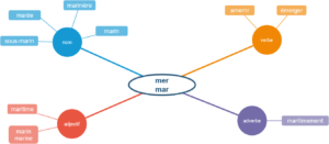 carte mentale mot même famille