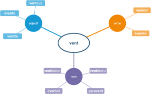 carte mentale mots même famille