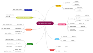 carte mentale nature des mots cm1 cm2