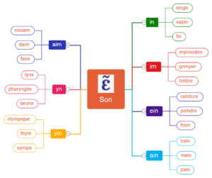 Carte mentale des différentes graphies du son [in]