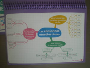 cartes mentales français et maths ce1 cm2
