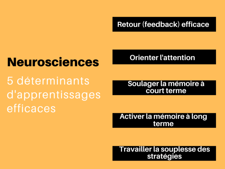 Neurosciences : 5 déterminants des apprentissages efficaces