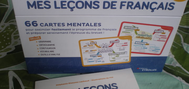 cartes mentales réviser programme de français collège