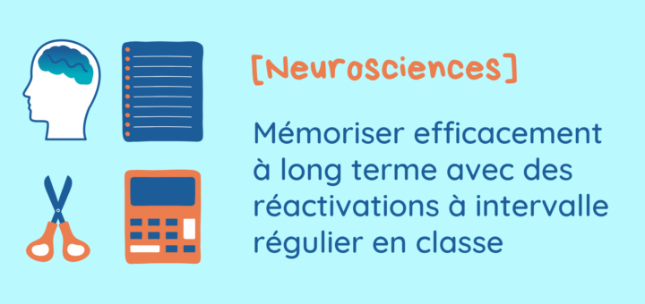 neurosciences mémoire long terme
