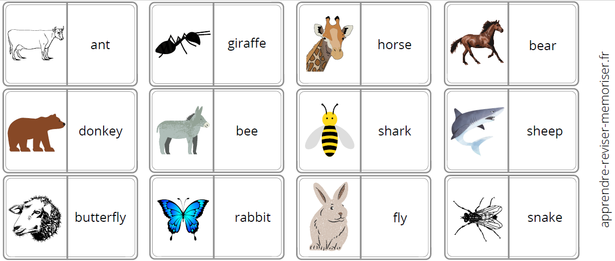 jeu vocabulaire anglais animaux