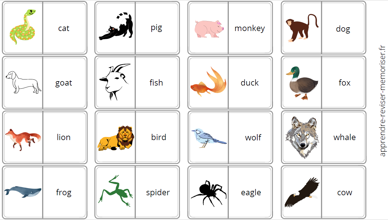 jeu vocabulaire anglais lexique animaux
