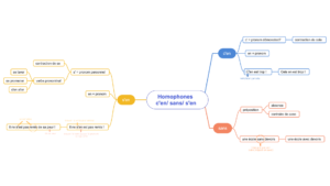carte mentale homophones grammaticaux c'en sans s'en