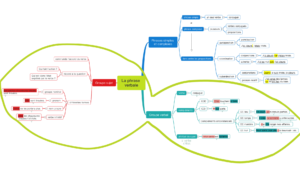 carte mentale français phrase verbale